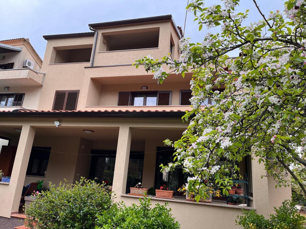 Apartament Miki-free Parking Rovinj